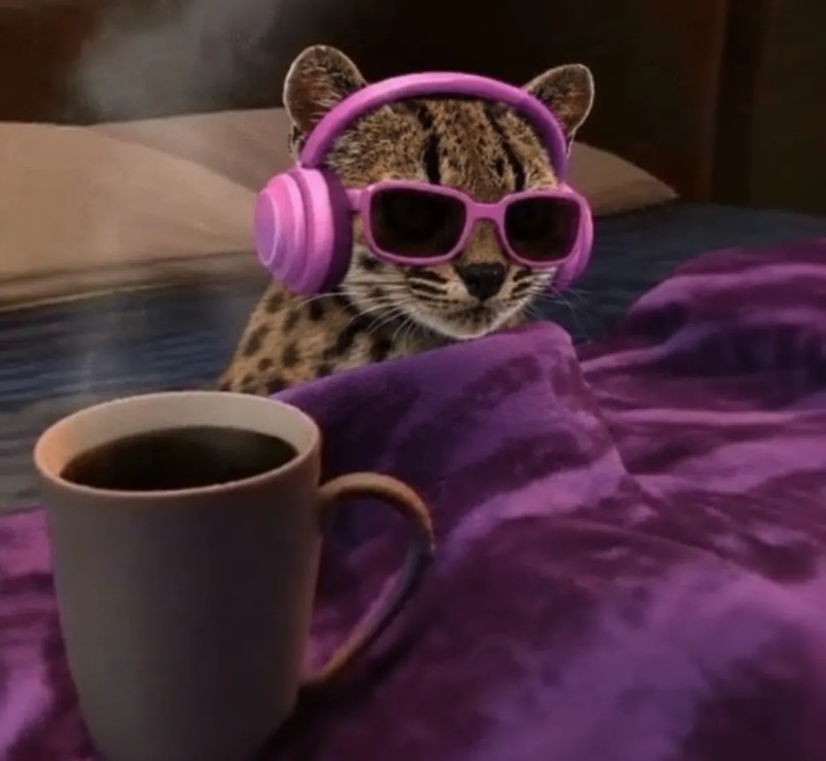 Comfy