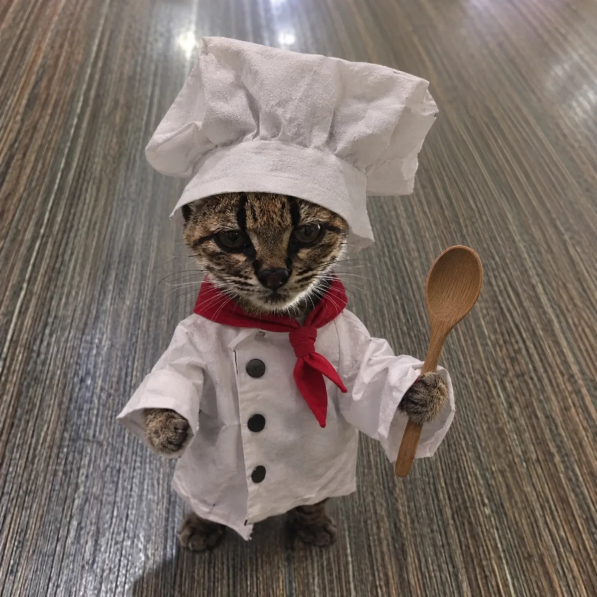 Cooking