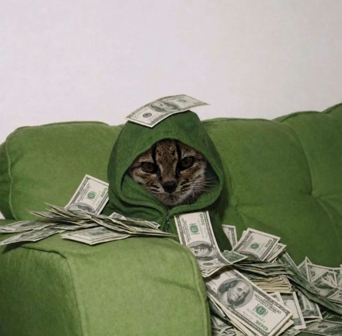 The internet pays his bills